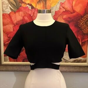 BCBGMaxazria Cropped Cutout Woven Top